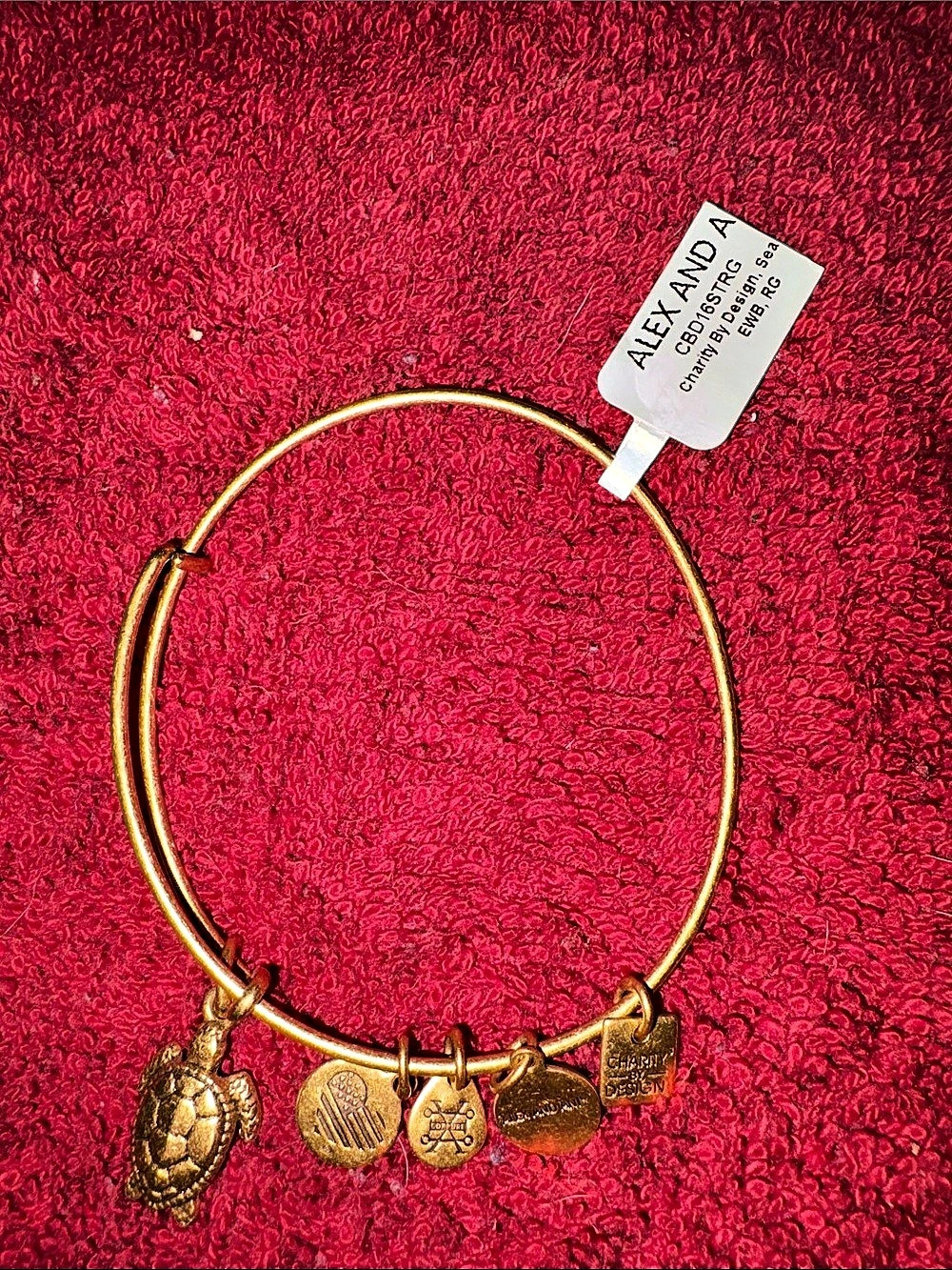 NWT Alex and Ani Sea Turtle Charity By Design Bangle Gold